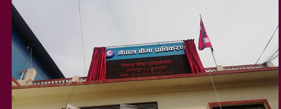 नेपाल बीमा प्राधिकरण अध्यक्ष पदका लागि १२ जनाको आवेदन