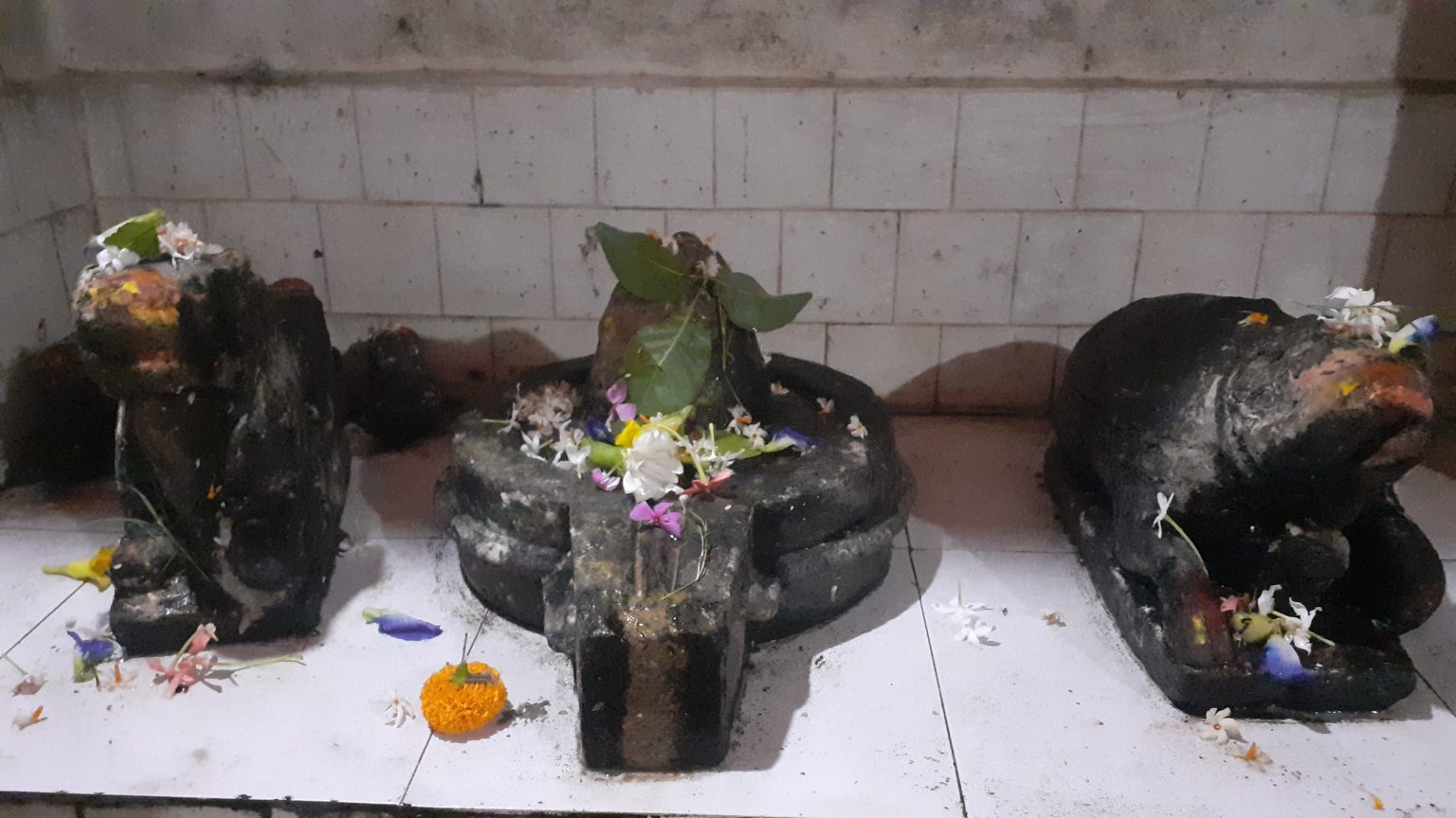 जनकपुरधाममा ऐतिहासिक शिव मन्दिरमा श्रद्धालुको भीड, केही मन्दिर ओझेलमा