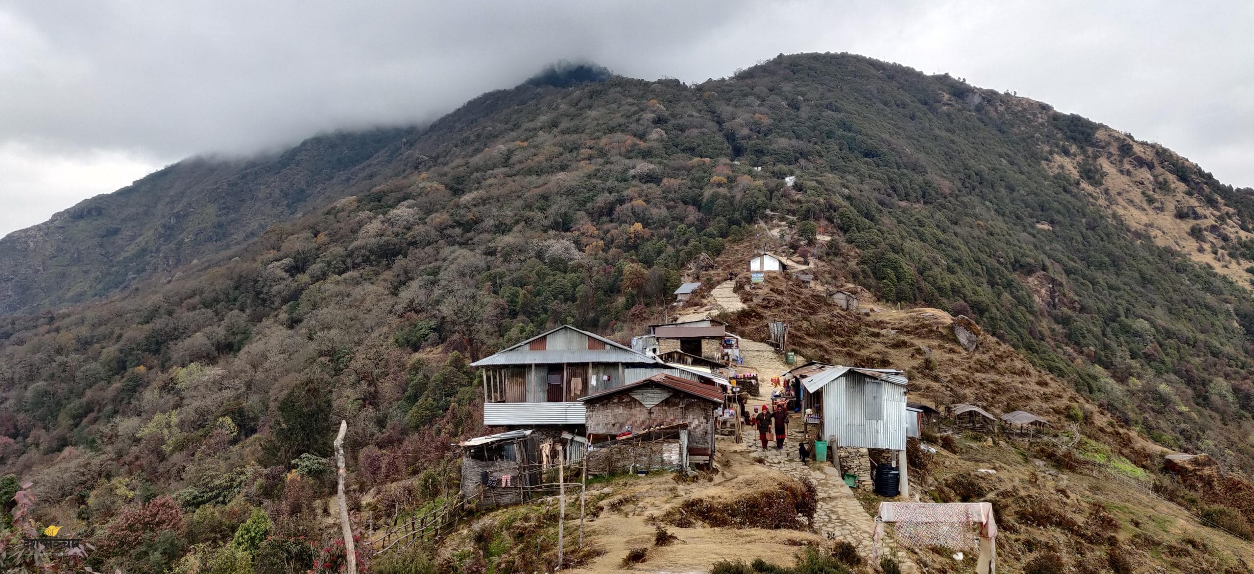  सर्वोच्चको आदेशले हटायो बाधा, पाथीभरामा केबलकार निर्माणको बाटो खुला