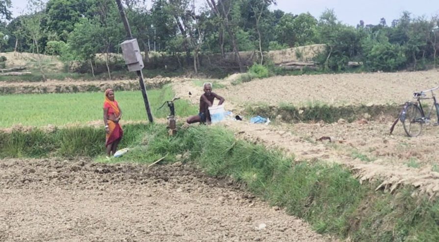 मधेसमा वर्षा नहुँदा धान रोपाइँ ठप्प, सरकारले घोषणा गर्‍यो सुख्खाग्रस्त क्षेत्र