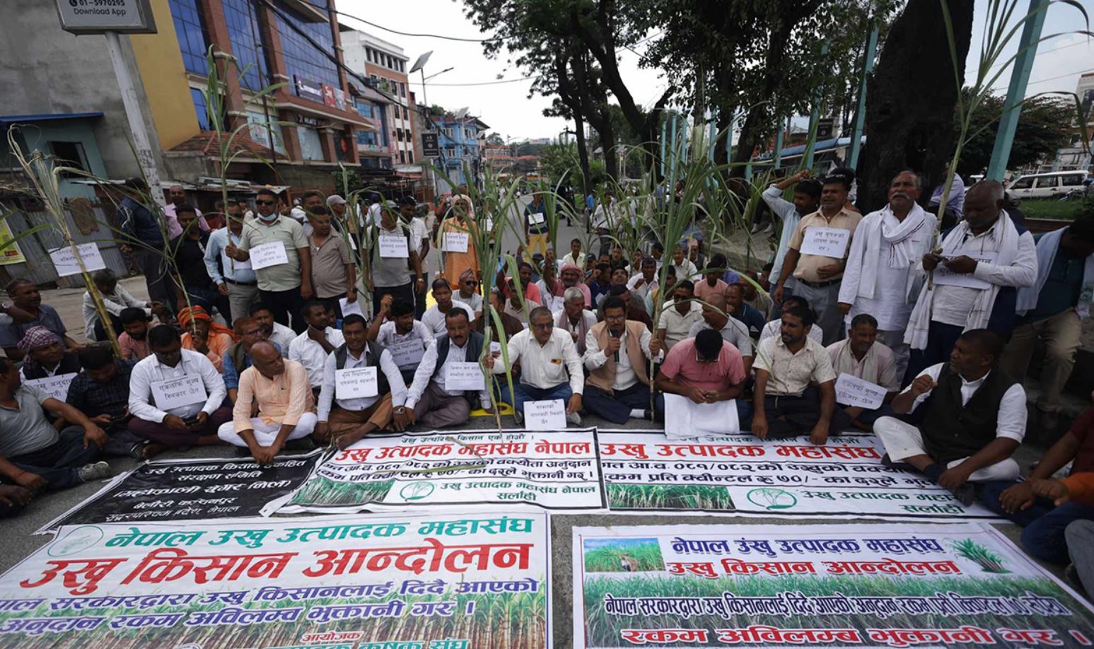 तेस्रो दिनसम्म पनि माइतीघरमा गुन्जियो उखु किसानको आवाज