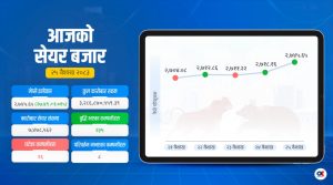नेप्सेमा हरियाली : परिसूचक २७ अंकले बढ्दा कारोबार रकम पनि उकालो,