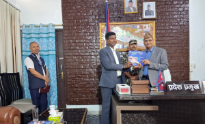 मधेशी आयोगद्वारा प्रदेश प्रमुखसमक्ष आठौँ वार्षिक प्रतिवेदन पेस,